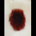 Pubic Hair Patch